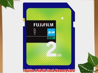 Fujifilm 2 GB SD Flash Memory Card