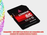 Kingston Digital Inc. 32 GB SDHC Flash Memory Card SD10/32GB - Black [Frustration Free Packaging]