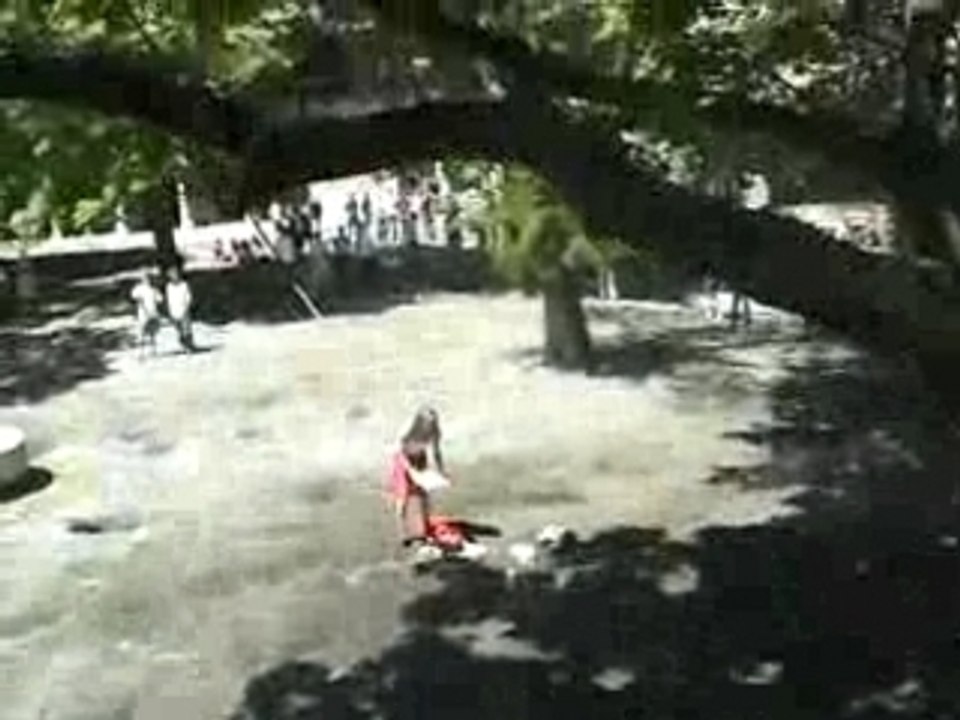 Candolle vs. Calvin