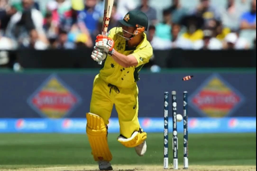 Australia vs India - David Warner Batting Highlights icc cricket 2015 2nd seme-final r¢a