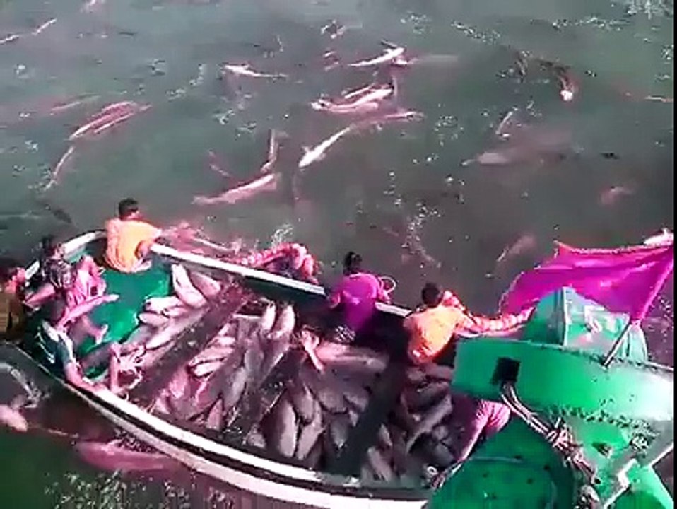 Fishing Somewhere in India