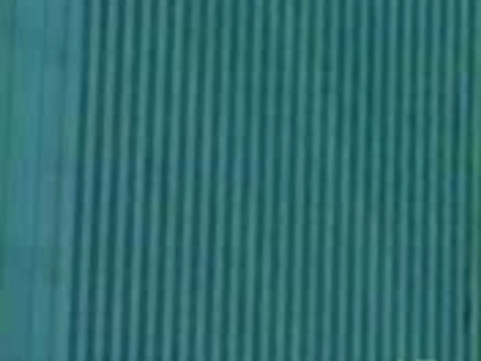 Suicide 911