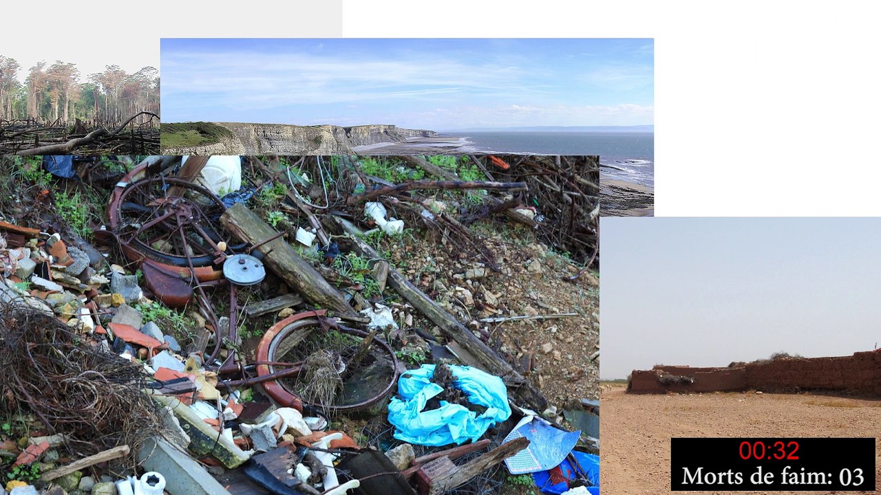 Les cigales et les fourmis - CVL LFGEB