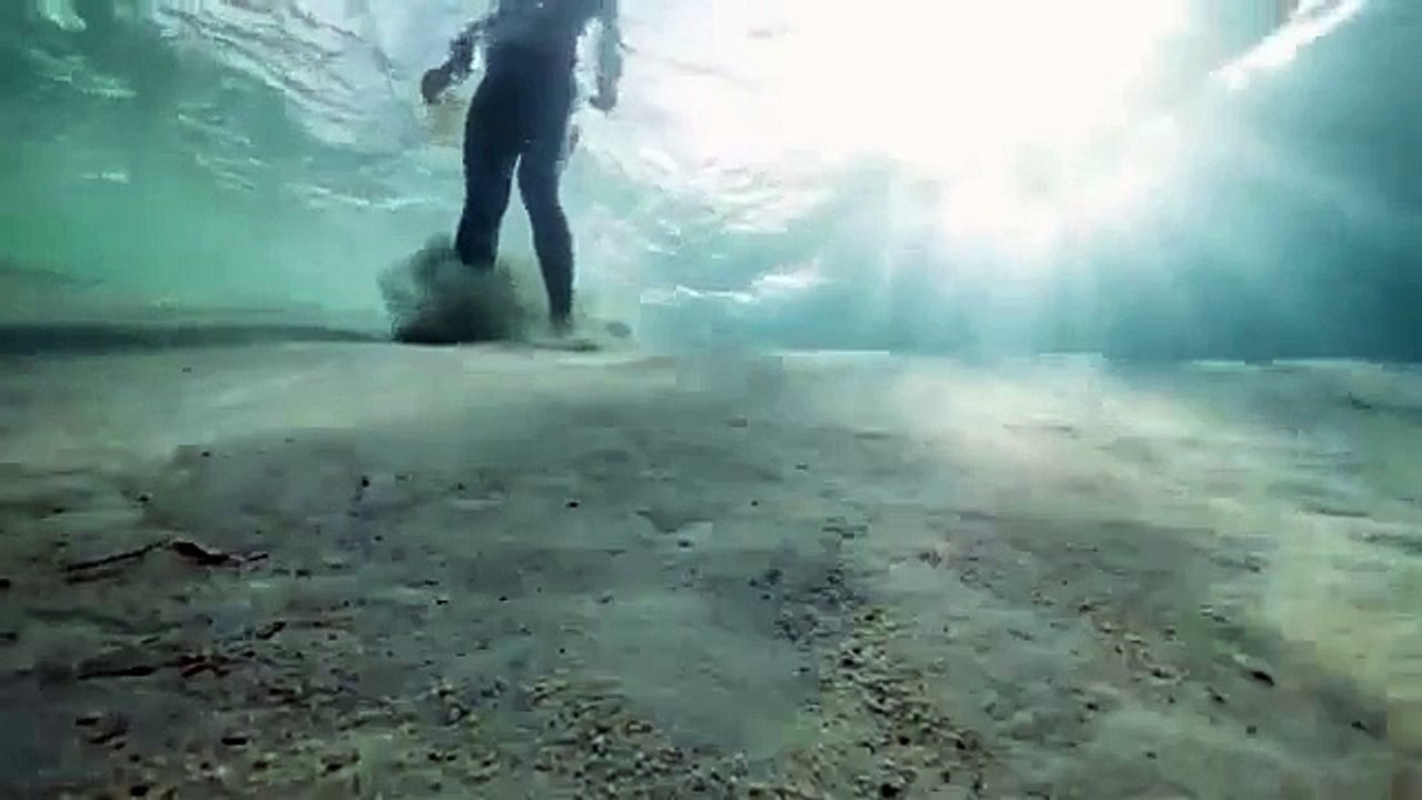 Incroyable ce qu'il fait sous l'eau