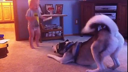 Bebek İle Köpeğin Oyunu :)