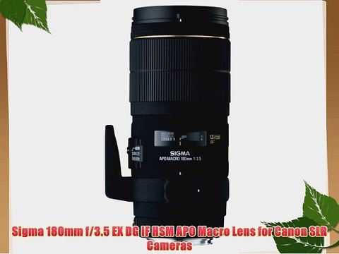 Sigma 180mm f/3.5 EX DG IF HSM APO Macro Lens for Canon SLR Cameras