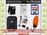 16GB Accessories Kit For Olympus Tough TG-320 TG-310 Stylus 3000 Digital Camera Includes 16GB