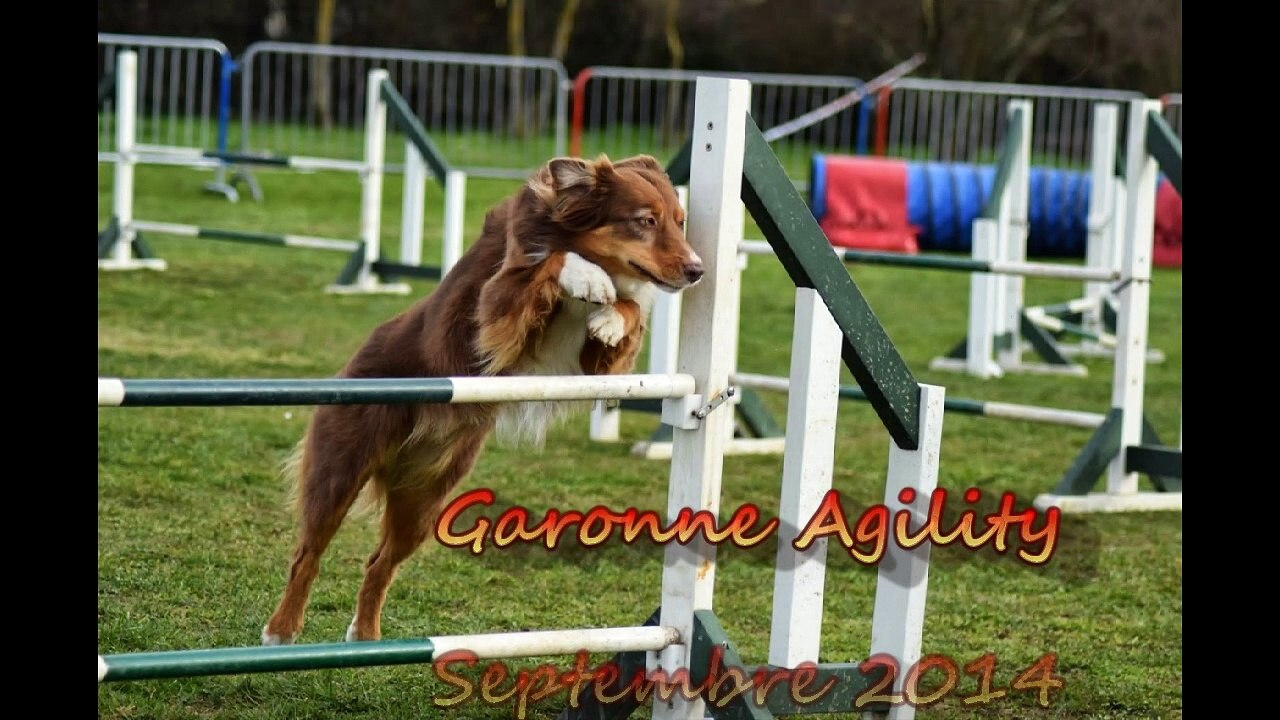Ever Garonne septembre 2014