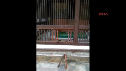 Makedonya'da Sersem Ali Baba Türbesine Çirkin Saldırı