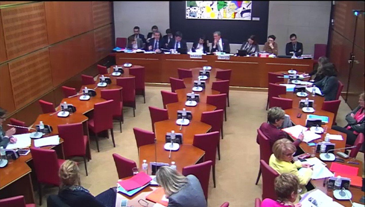 Enseignement du latin | Réforme du collège, audition de la Ministre