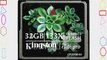 Kingston Elite Pro 32 GB 133x CompactFlash Memory Card CF/32GB-S2
