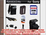 8GB Accessories Kit For Sony Cyber-Shot DSC-HX100V DSC-HX200V Digital Camera Includes 8GB High