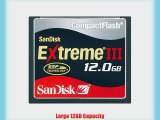 SanDisk SDCFX3-12888-901 12 GB Extreme III CompactFlash Card (Retail Package)