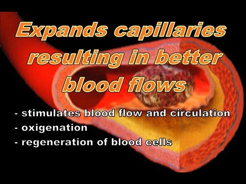 Health Benefit of Far Infrared and Noproblem Ion Balance Negative Ions (Anions) Health Product