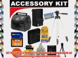 4GB DB ROTH Deluxe Pro Accessory kit For The Panasonic Lumix DMC-FZ28  DMC-FZ30  DMC-FZ50