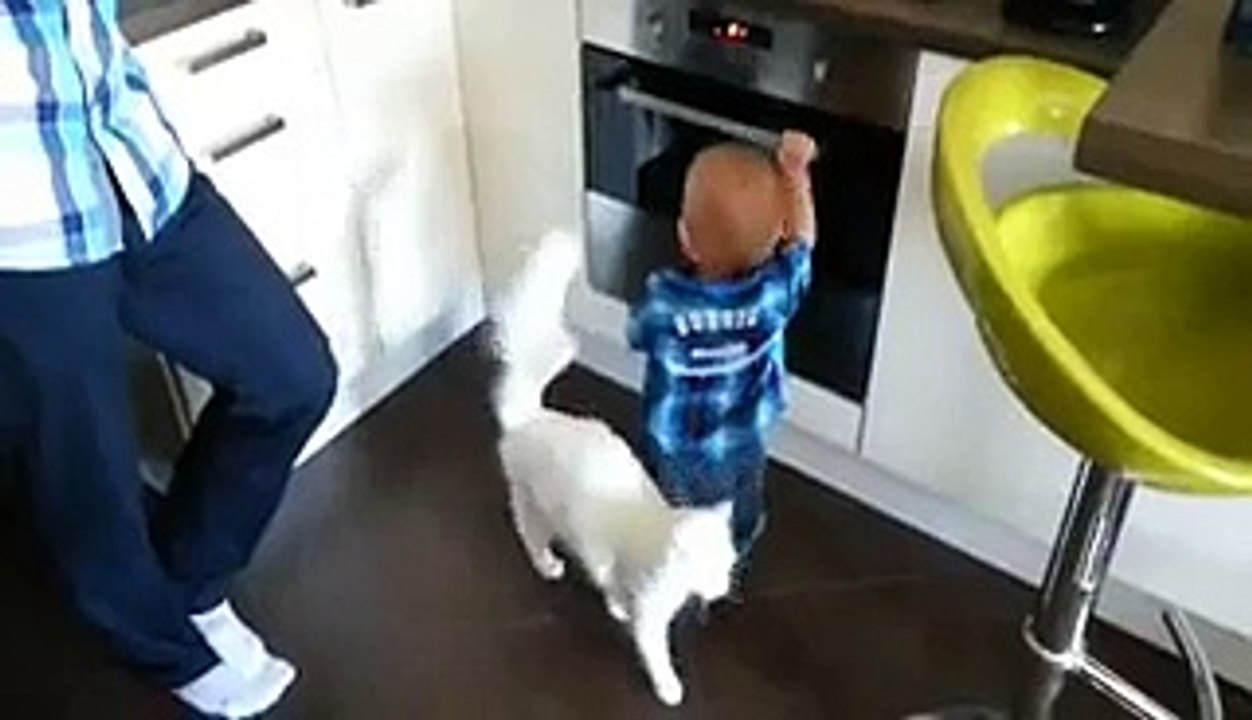 Cat Saved Baby From Fire