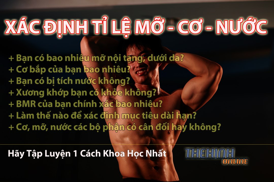 Xác định tỉ lệ mỡ, cơ bắp, khối lượng nước Chỉ số cơ thể để hoạch định kế hoạch GYM chuyên nghiệp