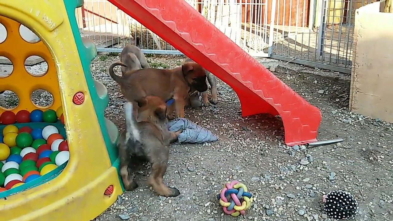 Be Aware H's @ Blow your MIND!