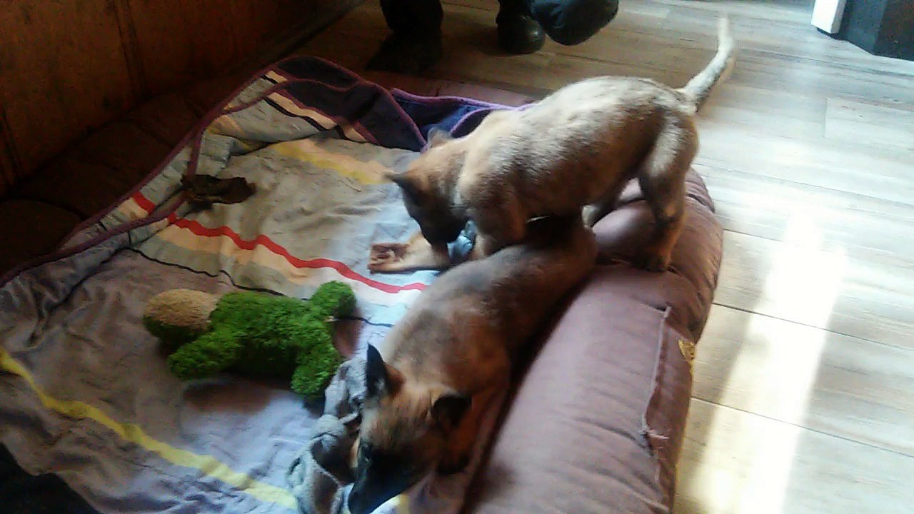 Be Aware HERA & HOSHI @ Indoor