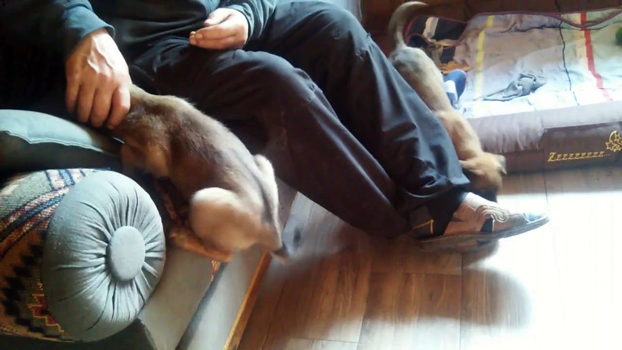 Be Aware HERA @ Bergsteigen!