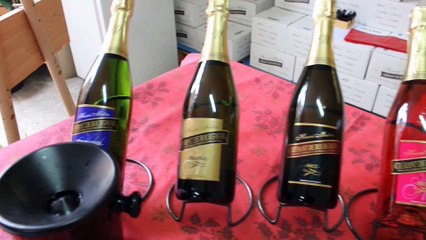 Crémant de Bourgogne - ( Domaine  Henri  Mutin ) 21400  MASSINGY