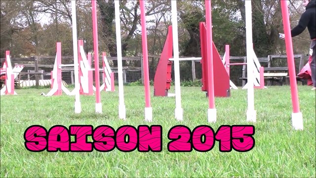 Gun's en Agility Saison 2015