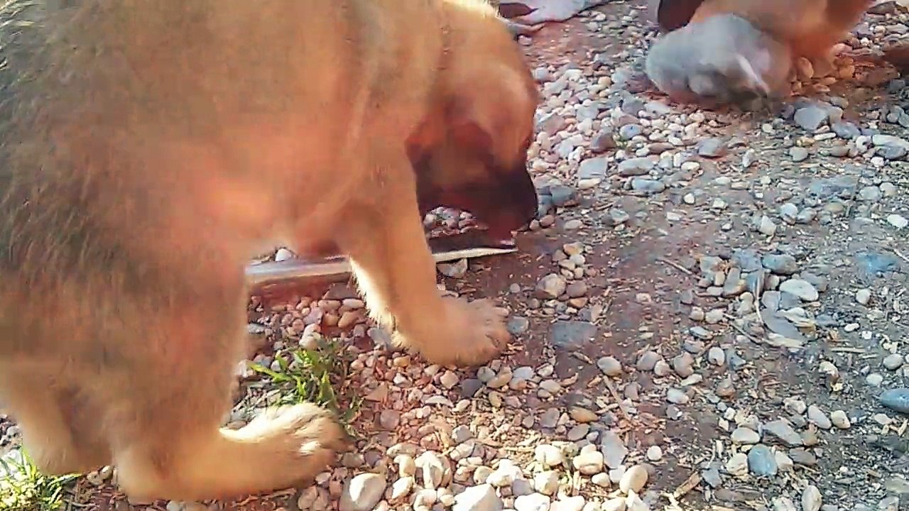 Be Aware H's @ Full Metall Baby!