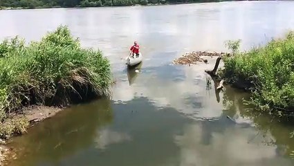 Des centaines de poissons bondissent de l'eau quand il arrive en barque