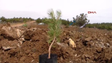 Uşak'ta Gönül Elçileri 2 Bin Fidan Dikti