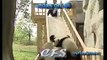 New Funny Animal Videos 2015   Panda at Playground!!