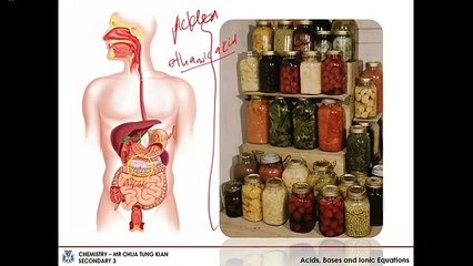 The Characteristic Prperties of Acid and Bases (Topic: 7 Section: 7.1 Part 1 of 2)