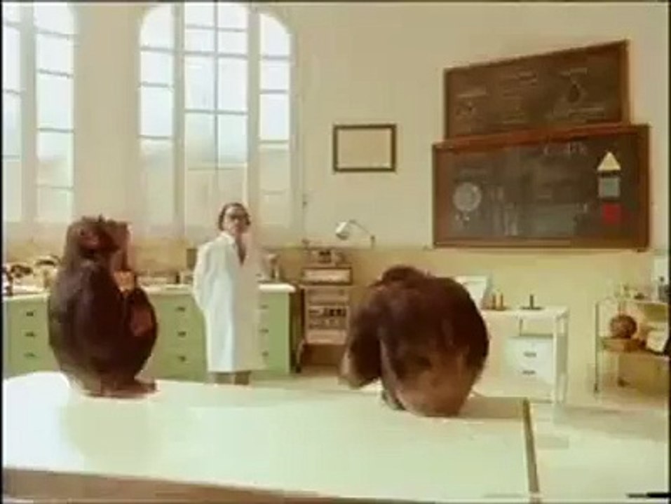 maymundan isanlık dersi
