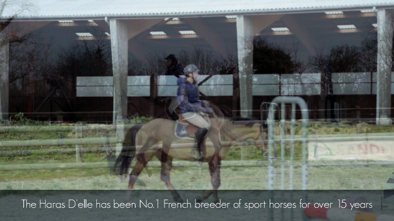 The Haras d'Elle, horseCom partner