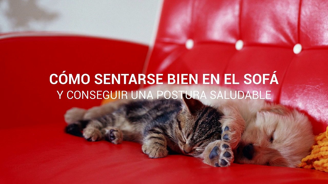 Consejos de ergonomía de un fabricante de sofás en Zaragoza