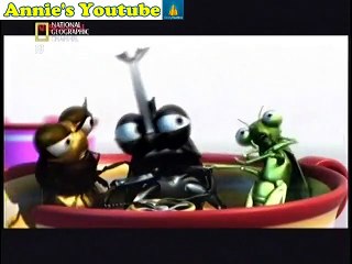 大貓週記 (Big Cats Week) ：獅子黑社會