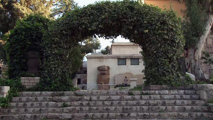 موظفون سوريون يتفانون لانقاذ الاف القطع الاثرية من النزاع