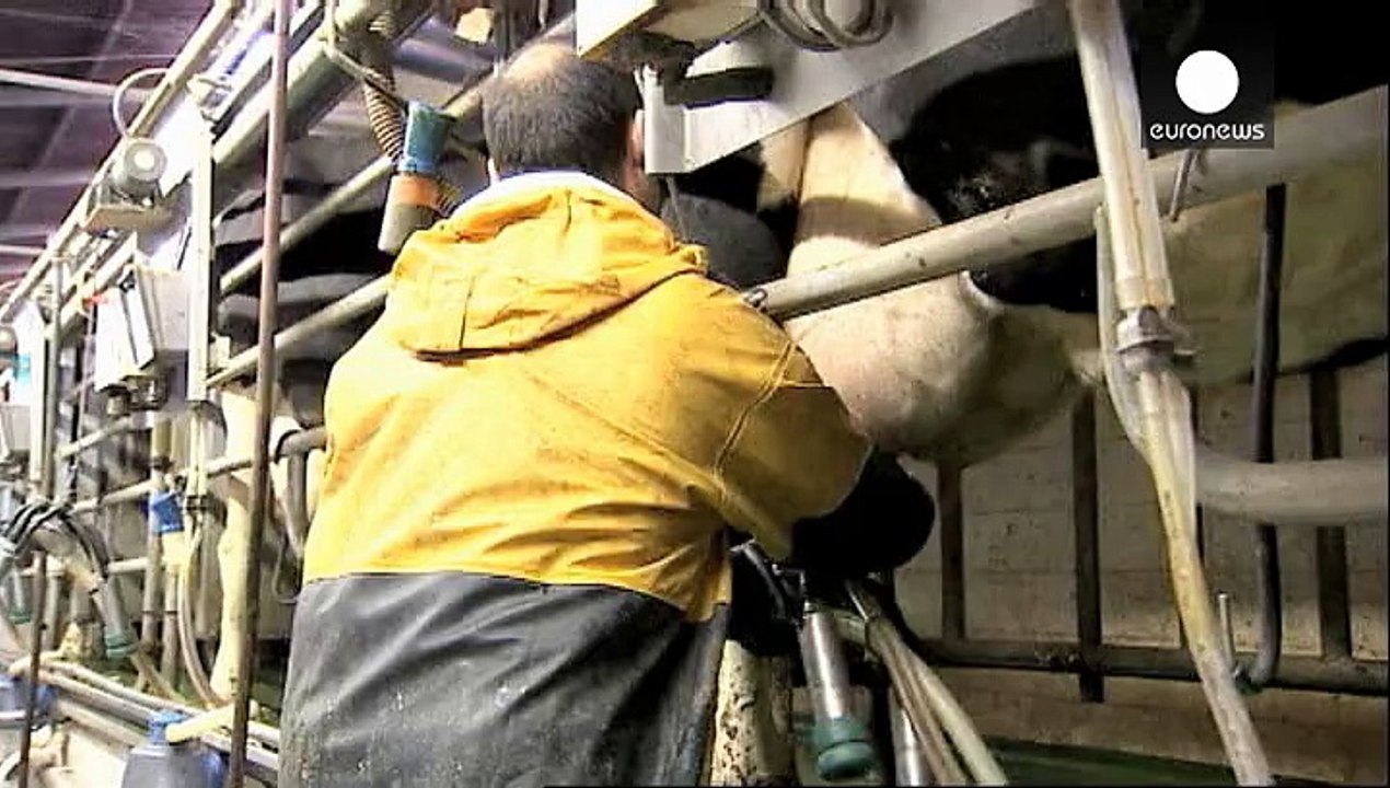 Time running out for EU milk quotas