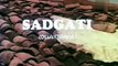 Sadgati TV Serial Title Track - Doordarshan National (DD1)
