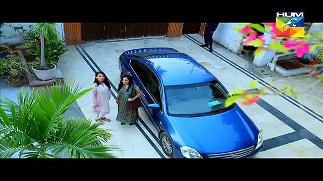 Sartaj Mera Tu Raaj Mera Episode 20 Full [HQ] Drama on Hum Tv 26th March 2015