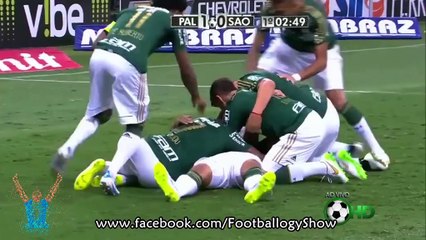 هدف عالمي لا يصدق في الدوري البرازيلي