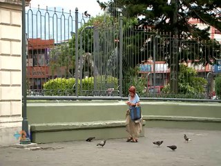 La abuela de las palomas
