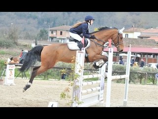 Aversa (CE) - Ippica, Iris Musto vince il torneo "A5 Stelle" (20.03.15)