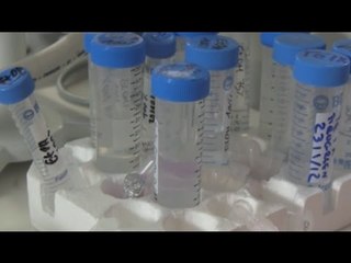 Napoli - Biottasa, dalla ricerca all’impresa nel biotech (24.03.15)