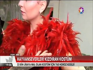 Sibel Pamuk'un 760 horozu kestirerek hazırlattırdığı sahne kostümü Hayvanseverleri kızdırdı