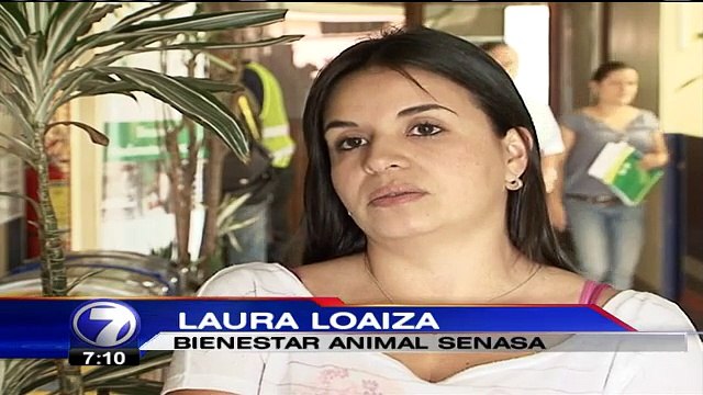 Condiciones de vida están detrás de muchos ataques de perros