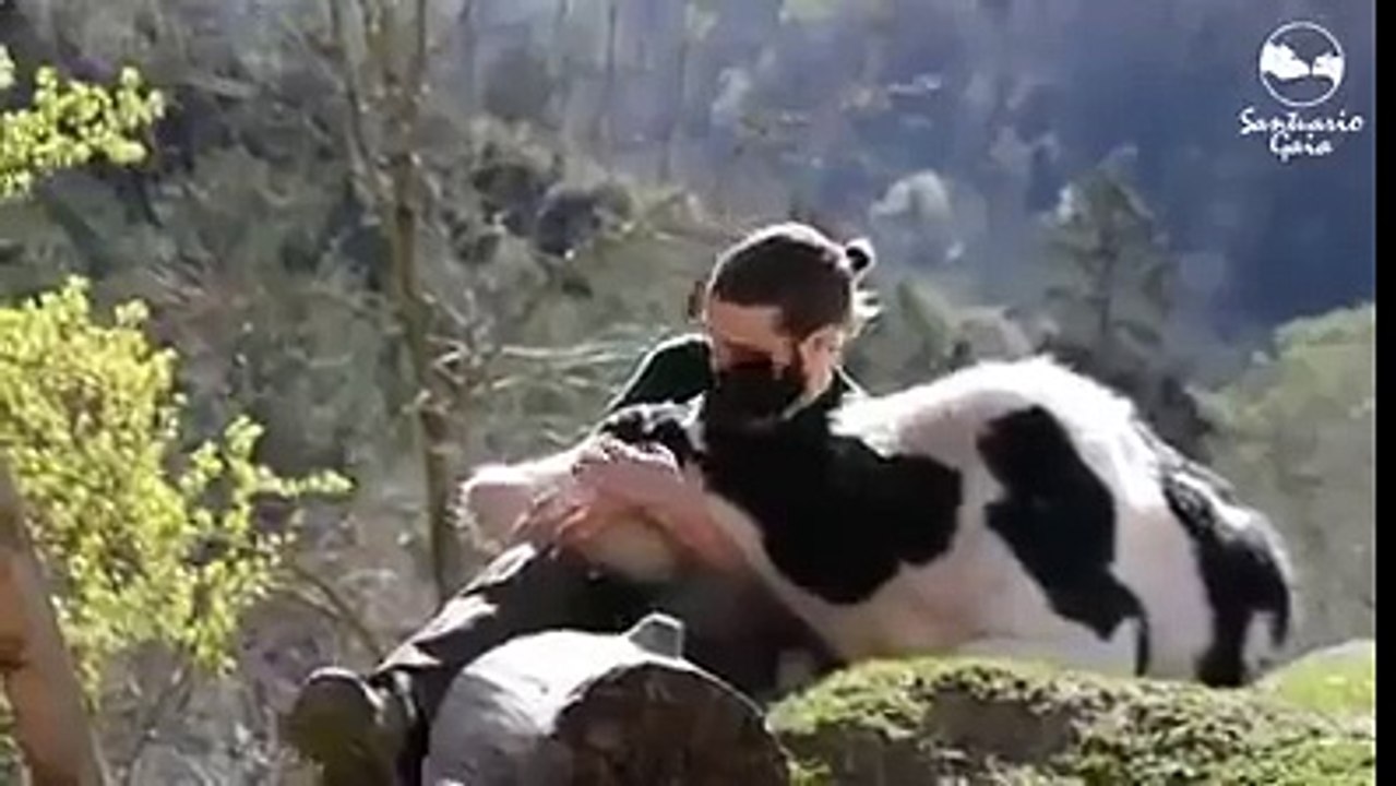 Hayvan sevgisi