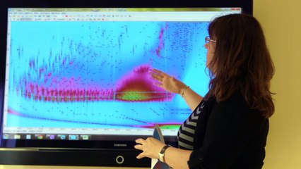 CLS-Enviromental-Services