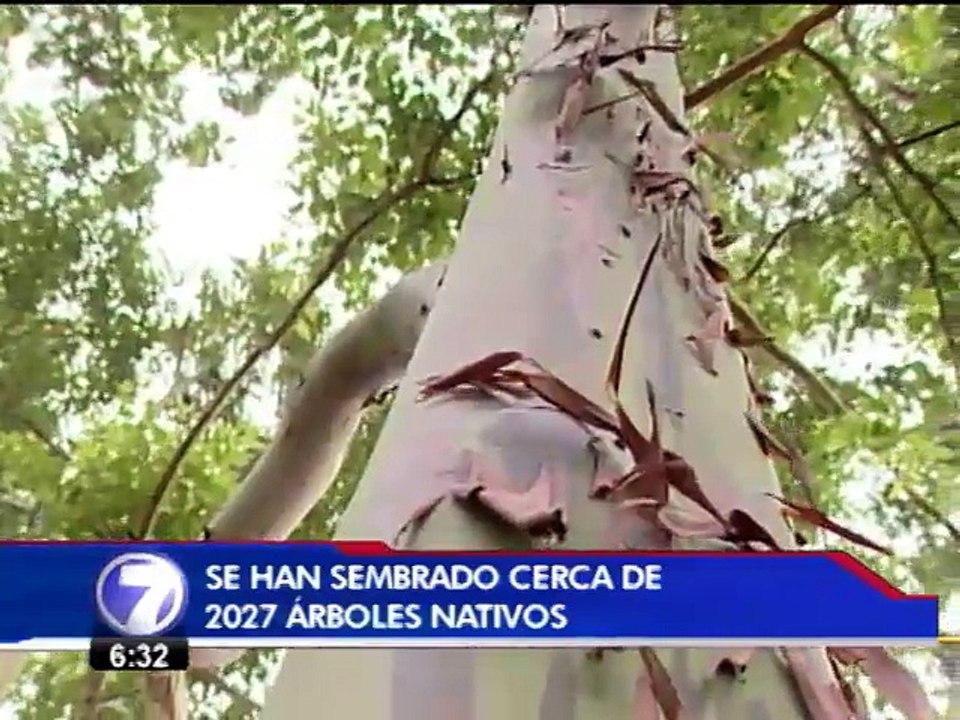 45 nuevas mesas de picnic estarán distribuidas en distintos puntos de La Sabana