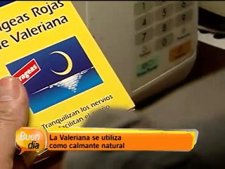 Beneficios de la valeriana como calmante natural