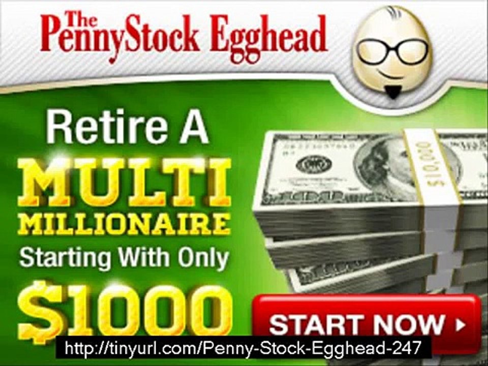 penny stock egghead picks